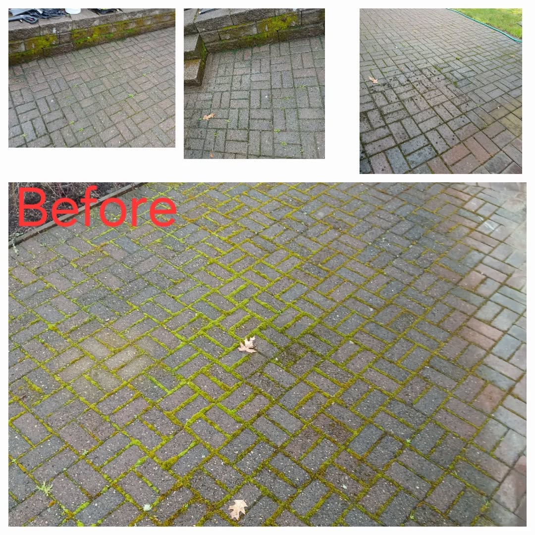 Moss-covered brick paver patio before pressure washing