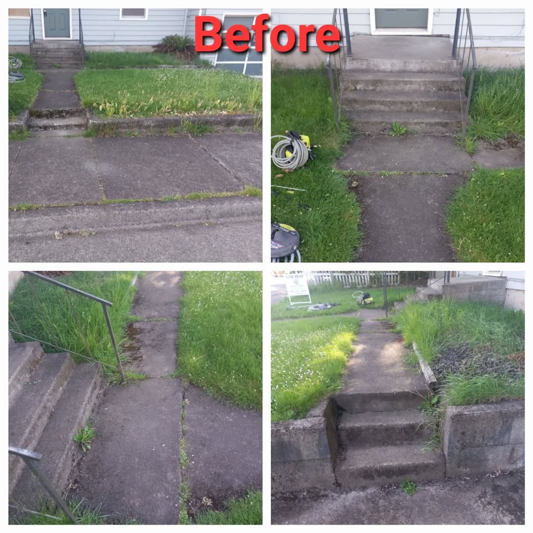 Overgrown, mossy rental-property walkway and steps before cleaning