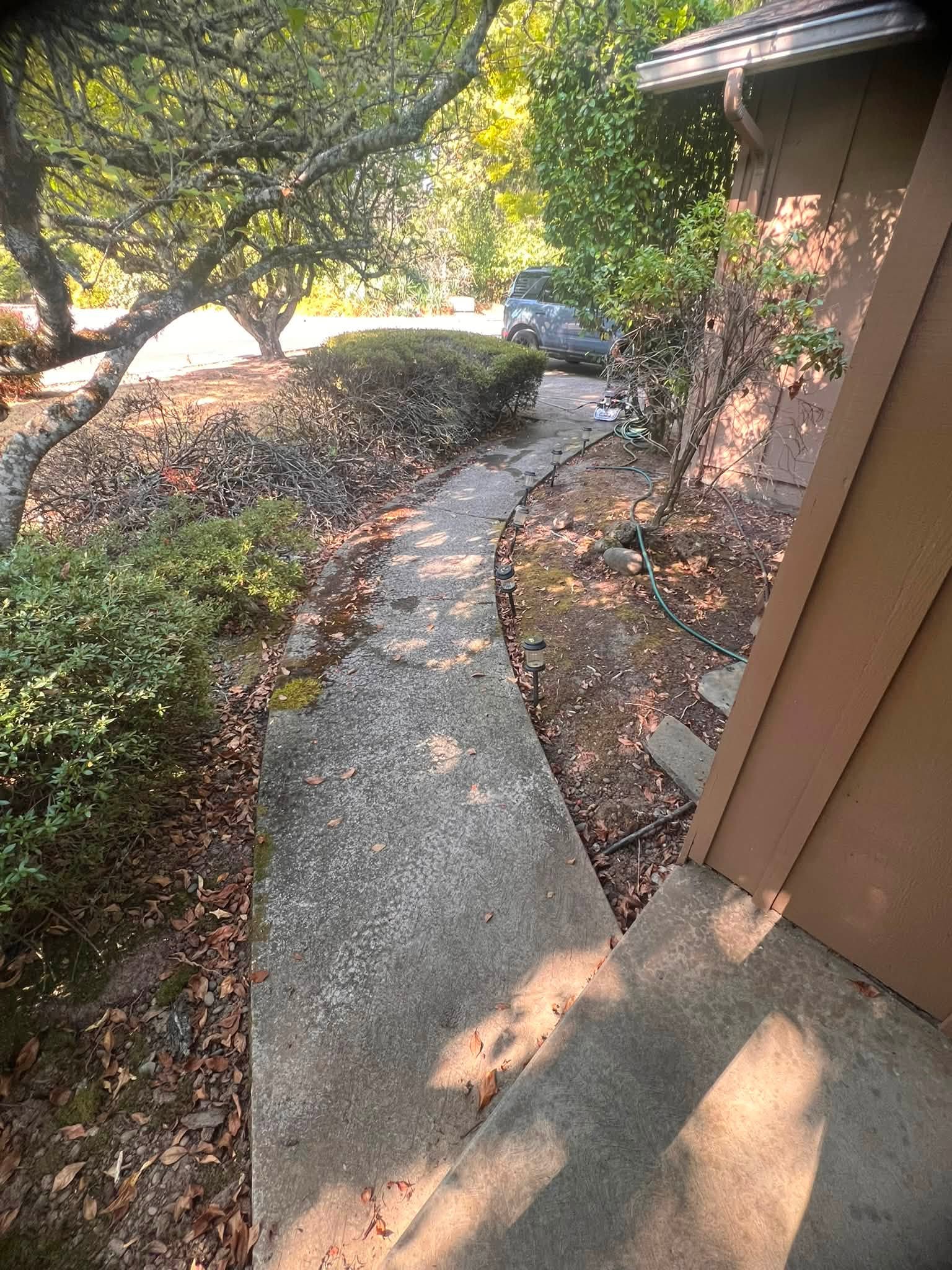 Curved garden walkway in the Willamette Valley, mossy before and clean after pressure washing (before)