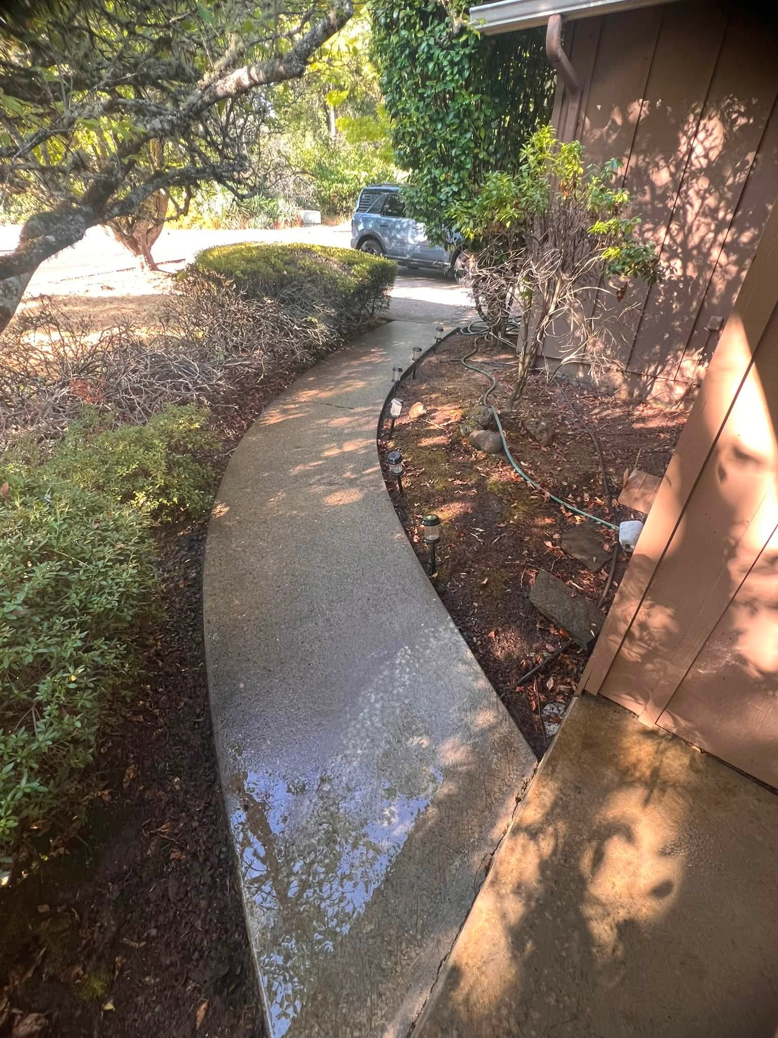 Curved garden walkway in the Willamette Valley, mossy before and clean after pressure washing (after)