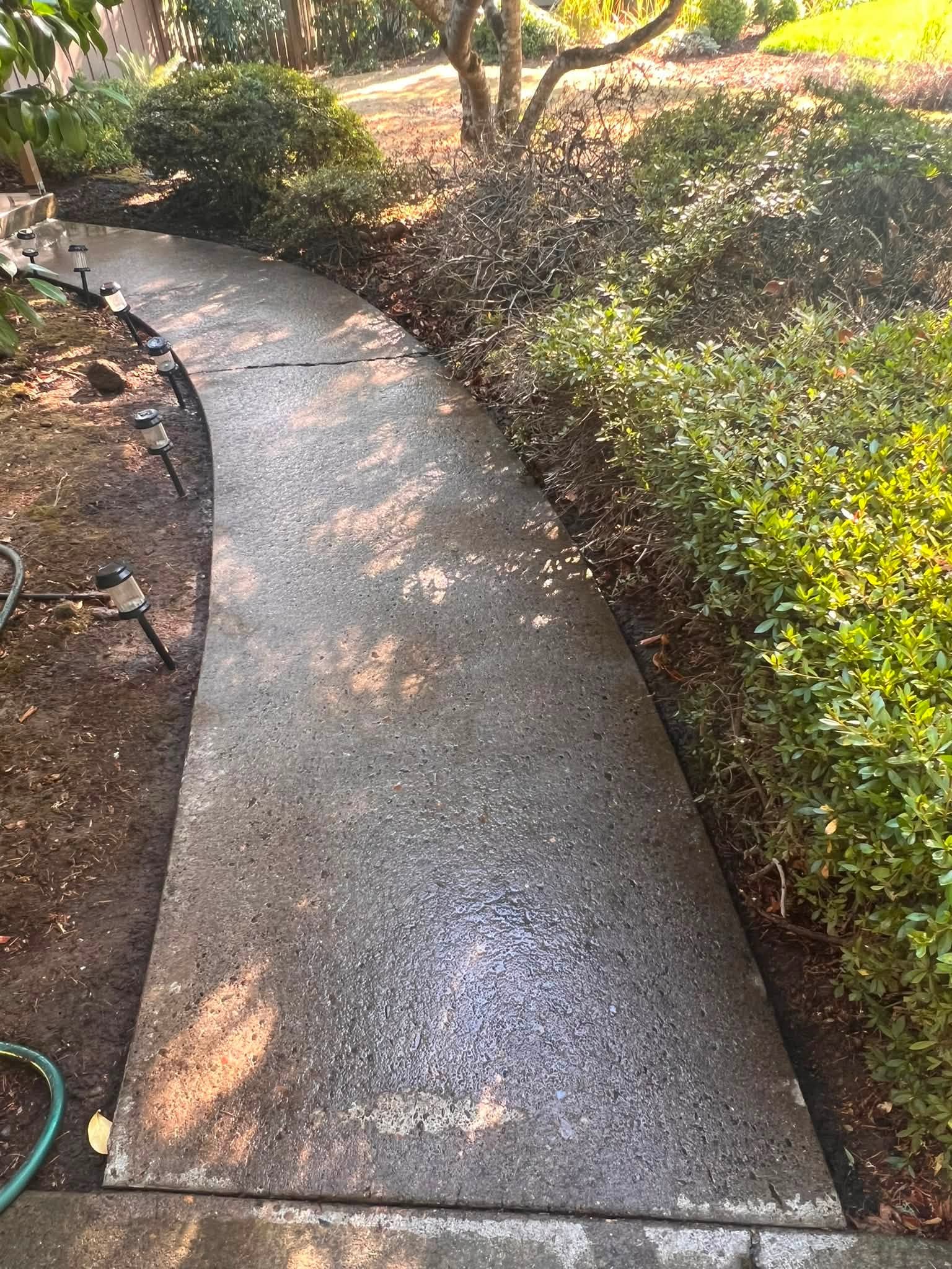 Aggregate garden walkway cleaned after pressure washing